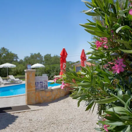 Jukic-1 By Interhome Lejlighed *